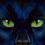 Animals_cats__002023_1
