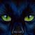 Animals_cats__002023_1