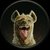 Iena_1