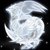 Reshiram_the_yin_pokemon_by_blooddragonx.png