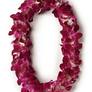 Lei