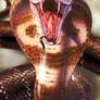 Kingcobra