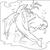 Dolphins-t30551