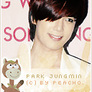 Parkicon2