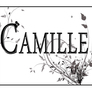 Cam