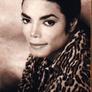Mts2_natef005_1073977_michaeljacksondoodoofotoshoot_107