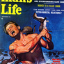 Mans_life_weasels