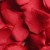 Red_petals