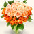 Rose6-big