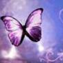 Cai8mom6cabuol9gca1idohqca39zf13caggdnc0camksinlcapcbus9cax9uxv0ca4d1uksca7n4i5wcau53sxhcasvlcohca0kka7rcaa6jvtqcas2mvsycarr6659cag51yc6caqgk55g