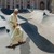 Popeskateboard2