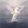203_pegaso