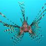 Most-dangerous-animal-in-the-sea-lion-fish