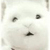 U_2903807930_2755449885_fm_0_gp_0