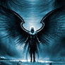 August-09-dark-angel-nocal-1280x800