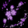 Flowers1