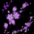 Flowers1