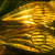 2wings
