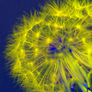 2010_03_29_1284_edited-2