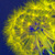 2010_03_29_1284_edited-2