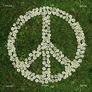 Peace-and-love3