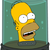 050_homer-simpson