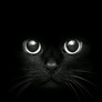 3_