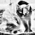 Cimg2485_copy