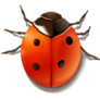 Bug