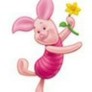 050506piglet
