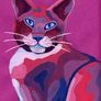 Grr_cat_colorful3