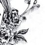 Hatoki