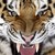 Av100