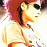 Hide
