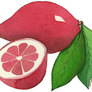 Pink-lemons-500x407