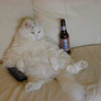 Beercat_rzs
