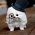 Mustache_dog