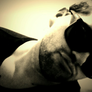 2011-05-31_15-49-28_311-picsay