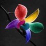 Rainbowflower