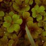 Cimg0390