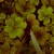 Cimg0390