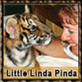 Linda_tiger_95_x_95_