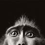 Tim_flach_3