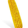 The_corncob