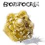 Logobotuto