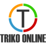 Logo_trikoonline