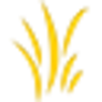 Organilicious-leaves_copy