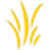 Organilicious-leaves_copy
