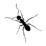 Ant_png19361
