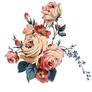 Images_(7)